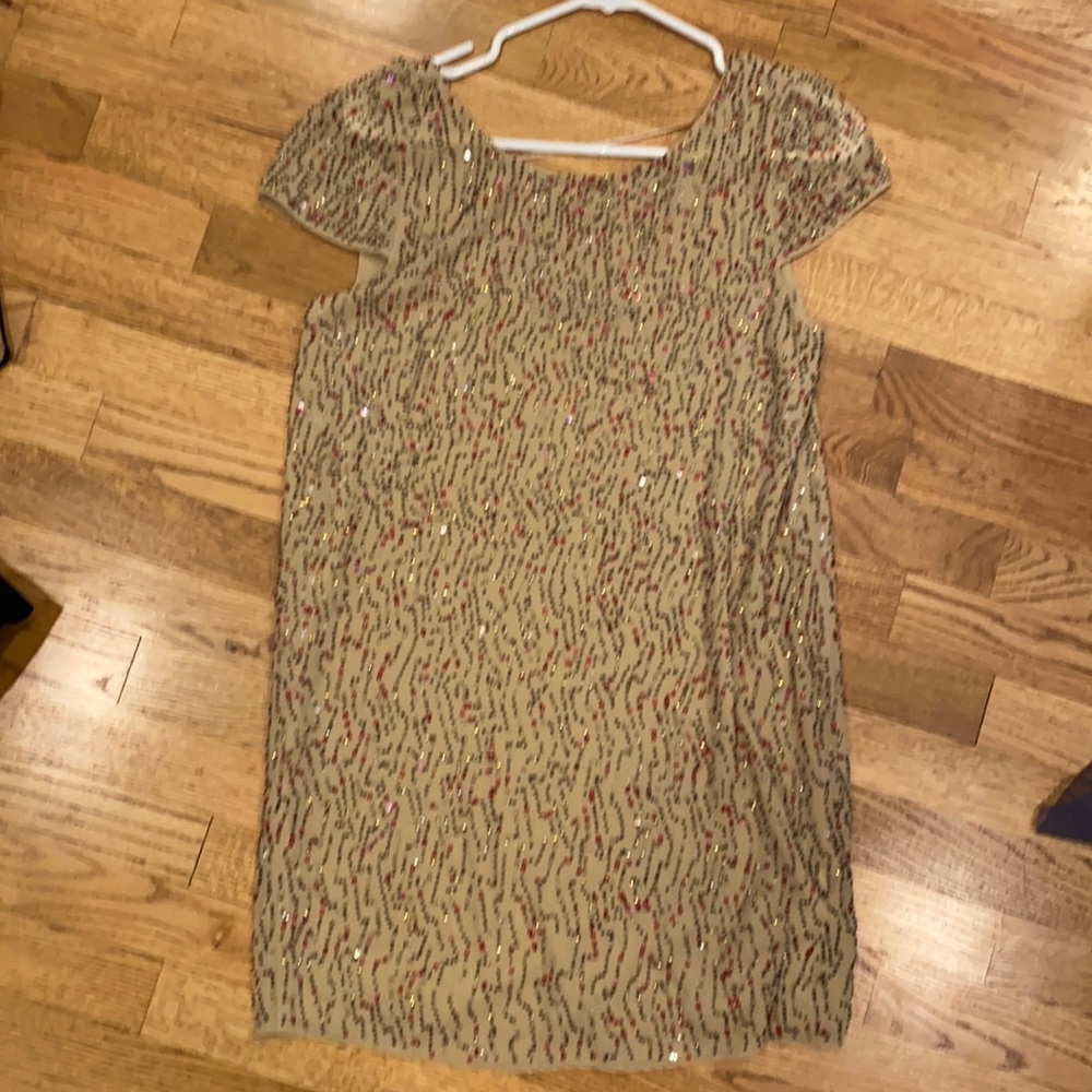 Zara beaded shift dress